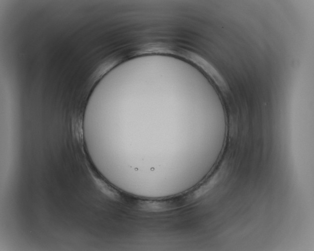 X0000111951241200908171311