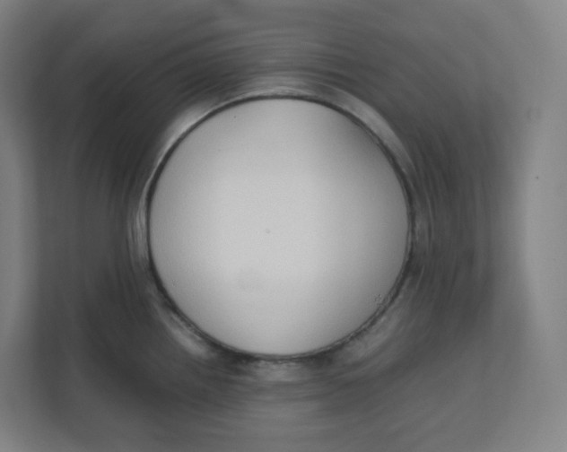 X0000111951242200908171311