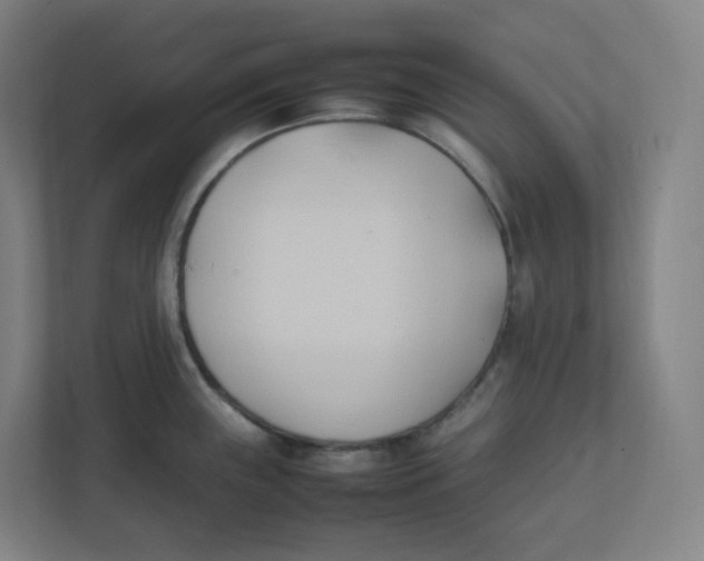 X0000111951243200908171311