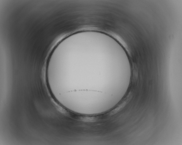 X0000111951245200908171311