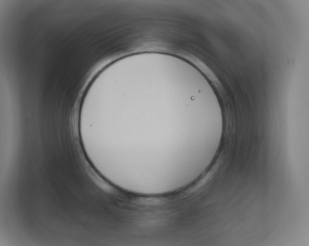 X0000111951246200908171311