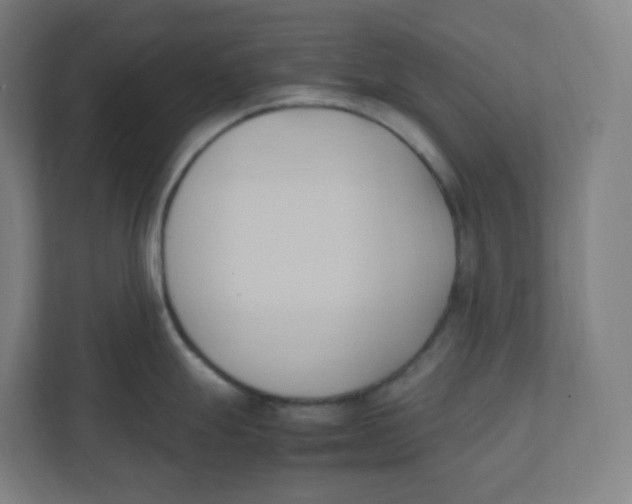 X0000111951247200908171311