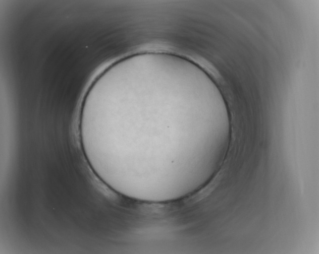 X0000111951248200908171311