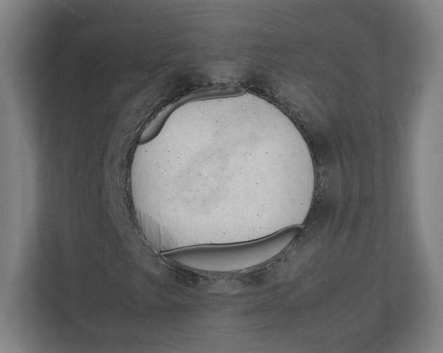 X0000111951249200908171311