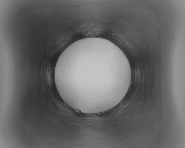 X0000111951250200908171311