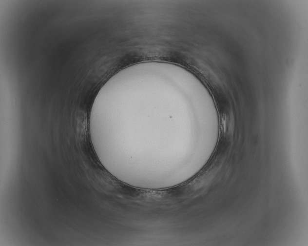 X0000111951251200908171311