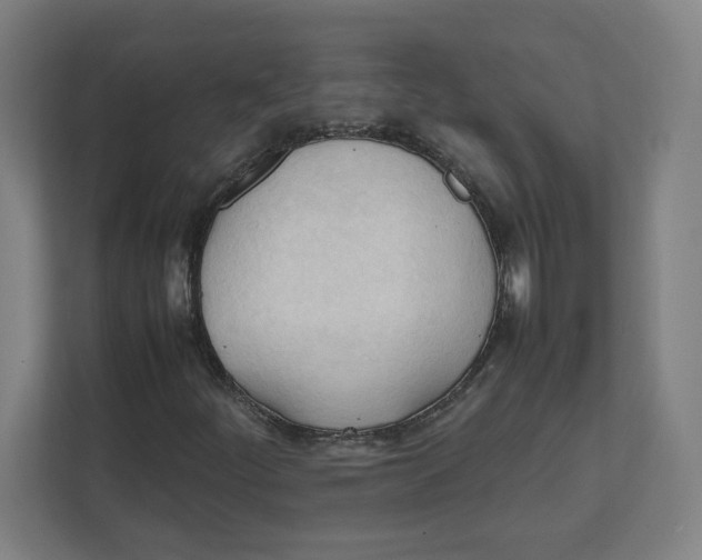 X0000111951252200908171310