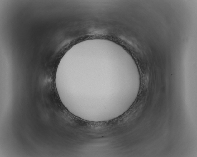 X0000111951254200908171310