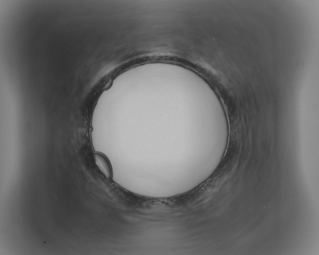 X0000111951255200908171310