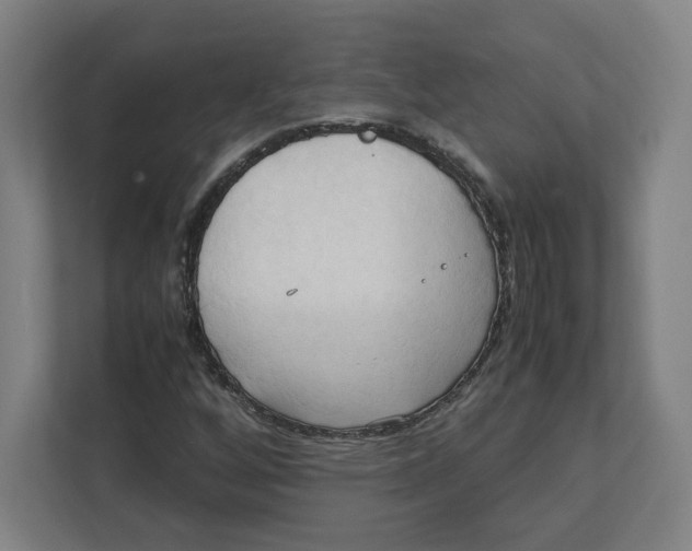 X0000111951256200908171310