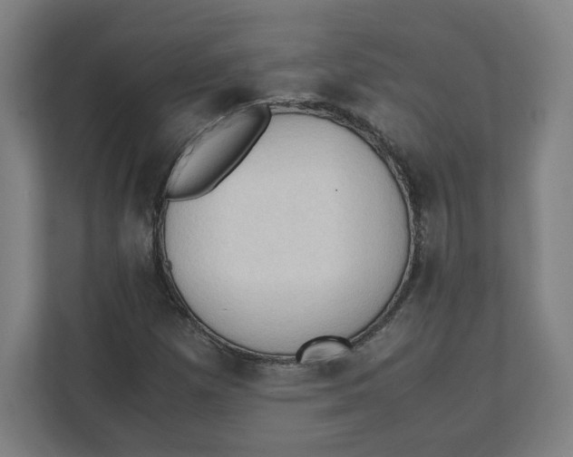 X0000111951257200908171310