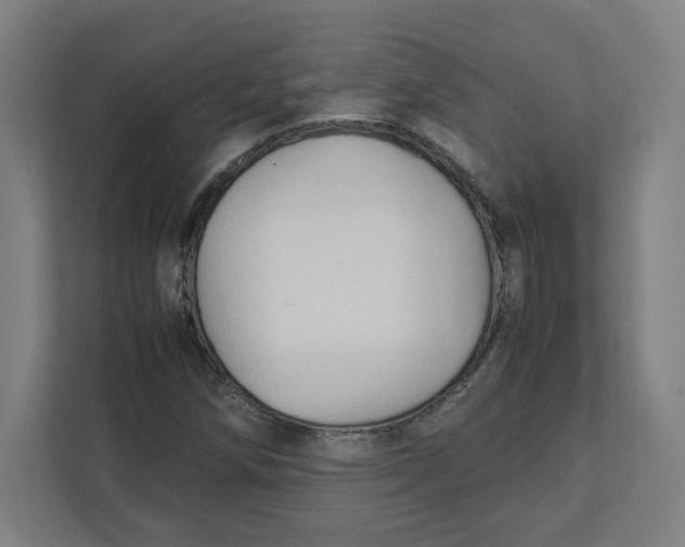 X0000111951258200908171310