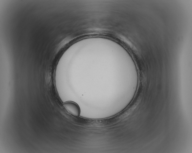 X0000111951259200908171310