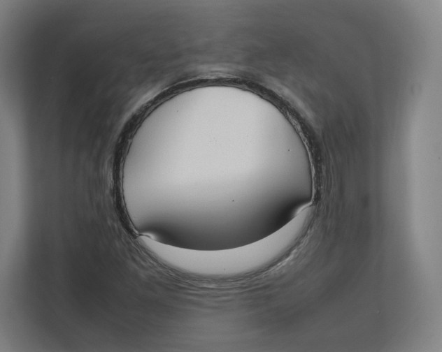 X0000111951261200908171310