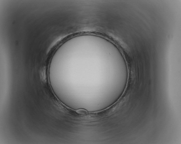 X0000111951262200908171310