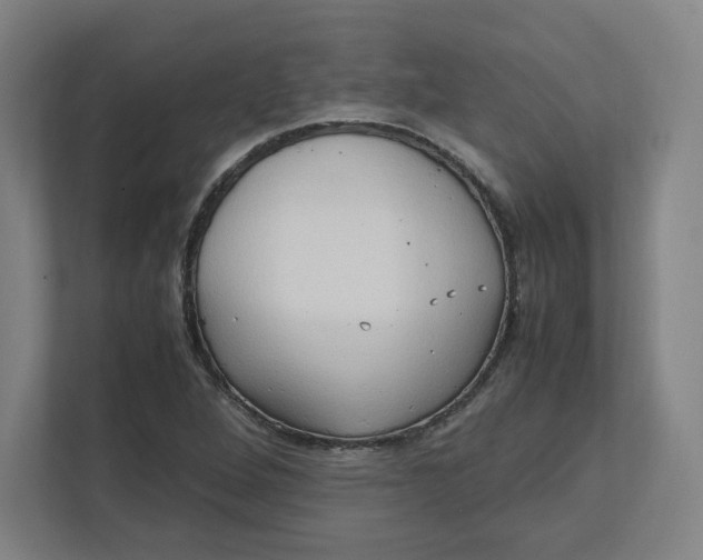 X0000111951264200908171310