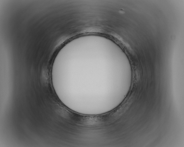 X0000111951266200908171310