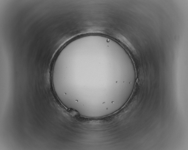 X0000111951268200908171310