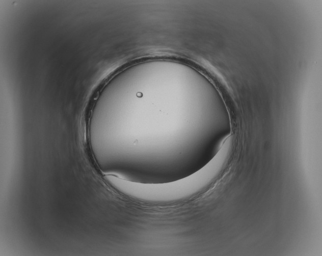 X0000111951269200908171310