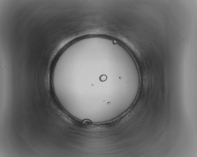 X0000111951270200908171310