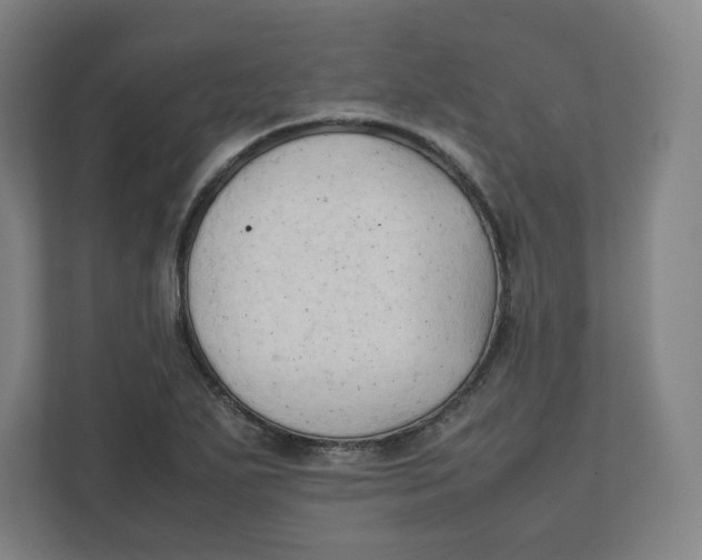 X0000111951271200908171310