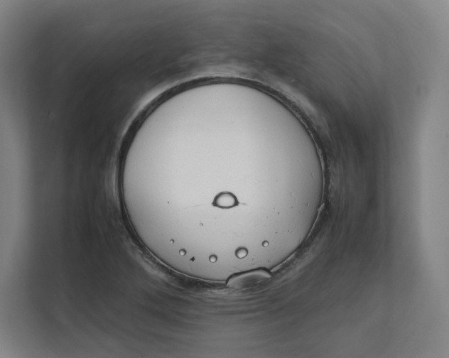 X0000111951272200908171310