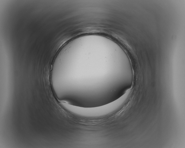 X0000111951273200908171310