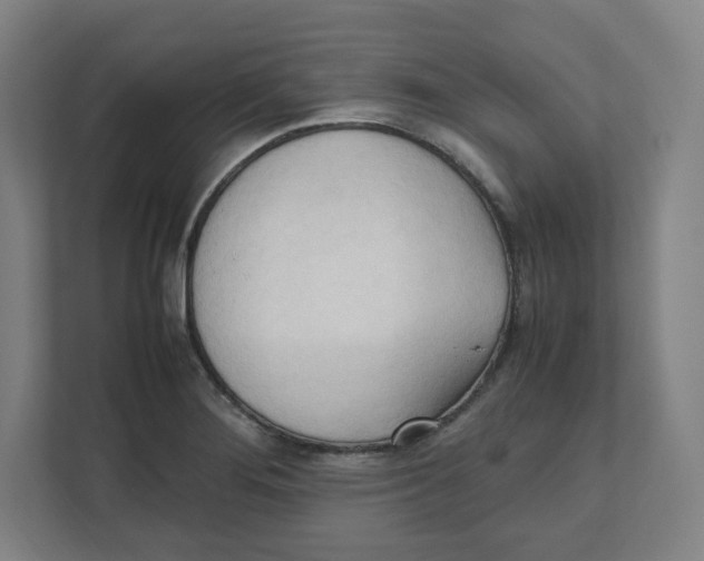 X0000111951276200908171310