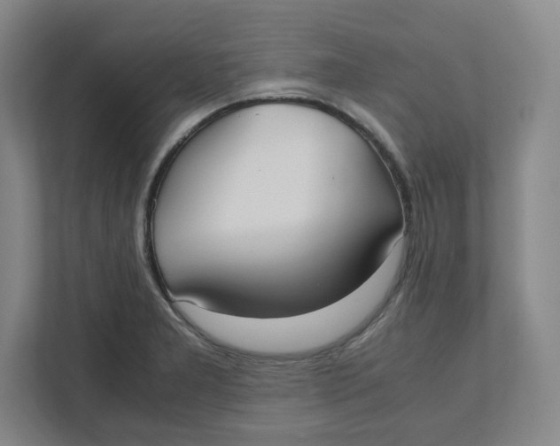 X0000111951277200908171310