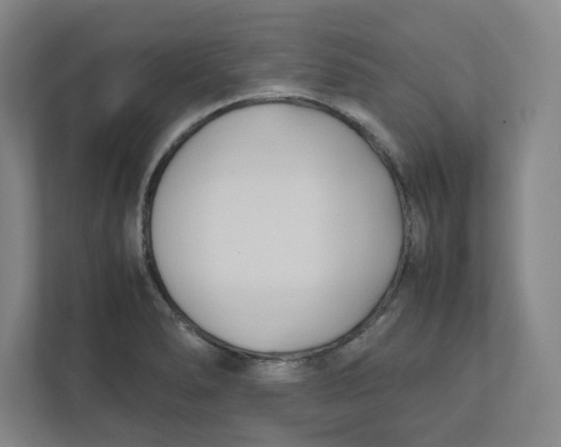 X0000111951278200908171310