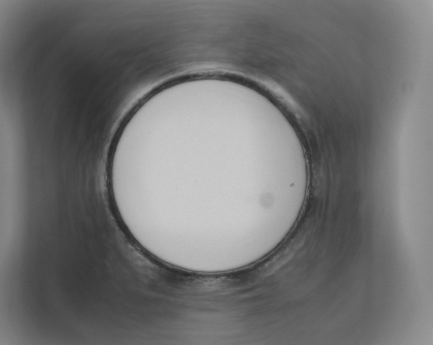 X0000111951279200908171310