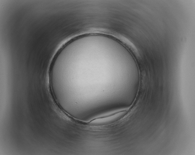 X0000111951280200908171310