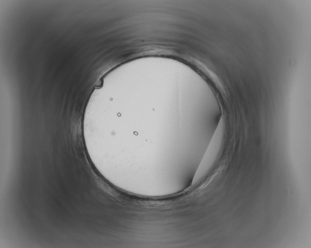 X0000111951281200908171310