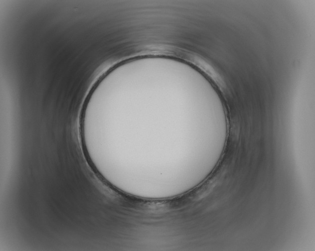 X0000111951283200908171310