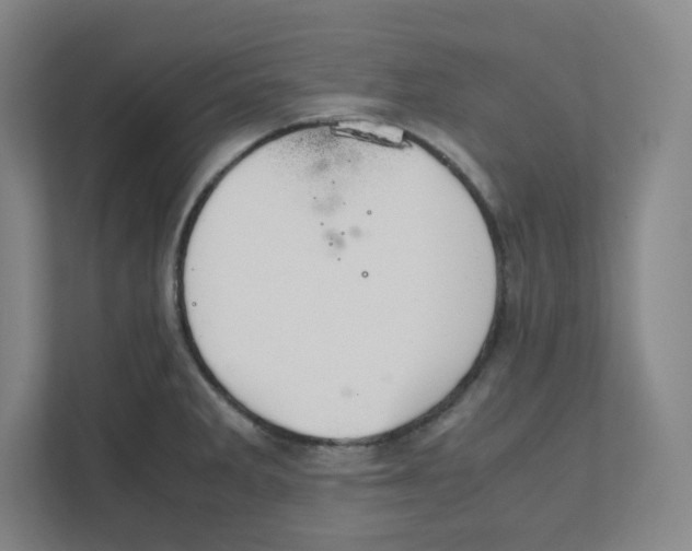 X0000111951285200908171310