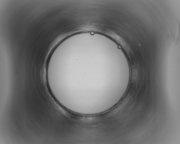 X0000111951286200908171310