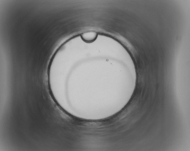 X0000111951287200908171310