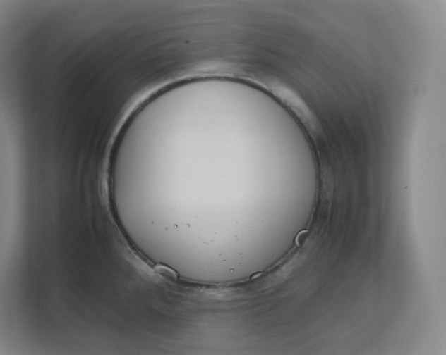 X0000111951288200908171310