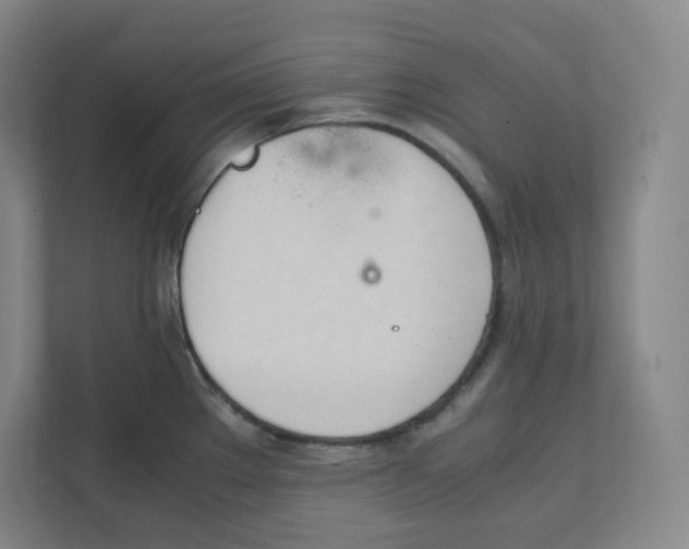 X0000111951289200908171310