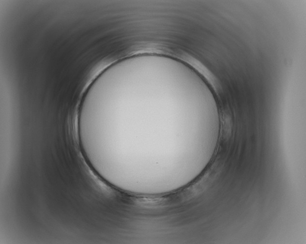 X0000111951290200908171310