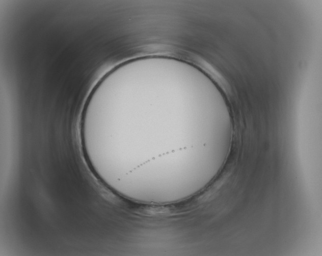 X0000111951291200908171310