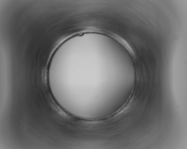 X0000111951292200908171310