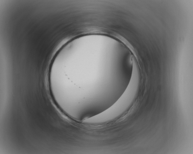 X0000111951293200908171310