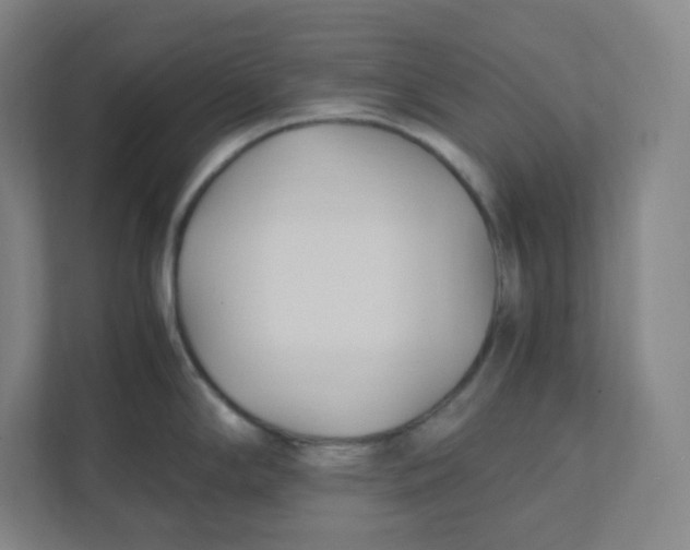 X0000111951294200908171310