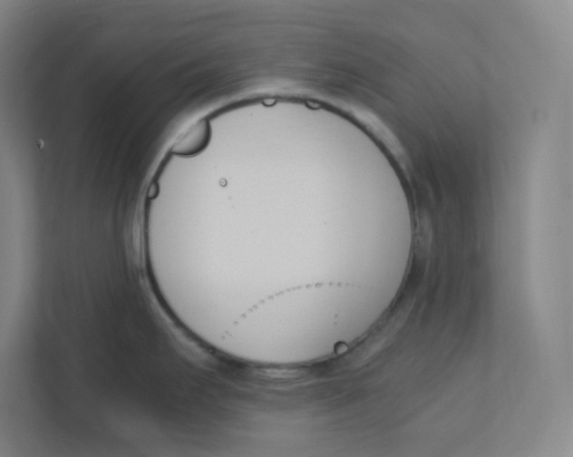 X0000111951295200908171310