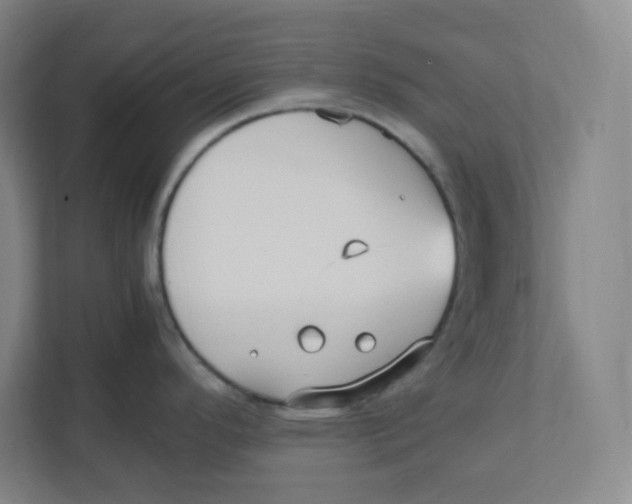 X0000111951296200908171310