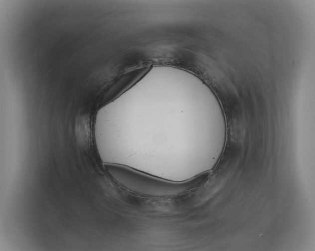 X0000111951298200908171309