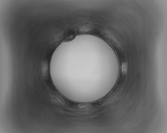 X0000111951299200908171309