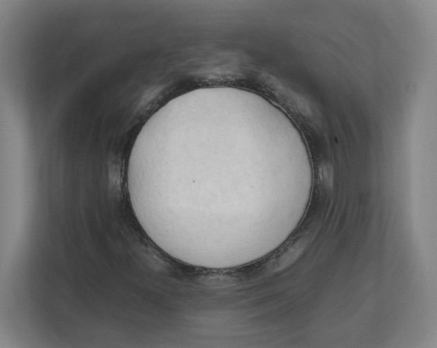 X0000111951300200908171309