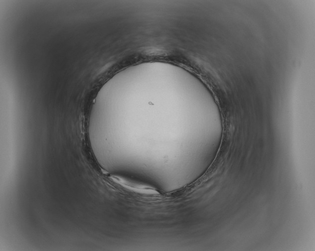 X0000111951301200908171309